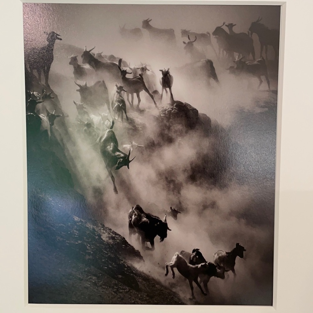 Drew Doggett Photography